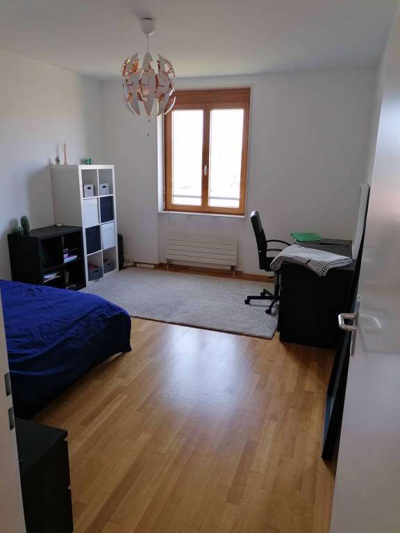 Plan-les-Ouatres / Magnifique appartement à 20 minutes de Genève